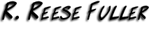 Chameleon Logo